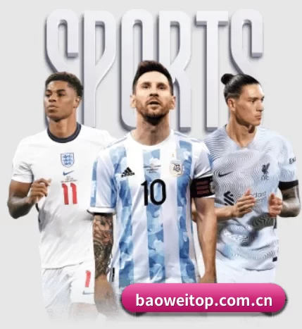 宝威 APP | Baowei Sports
